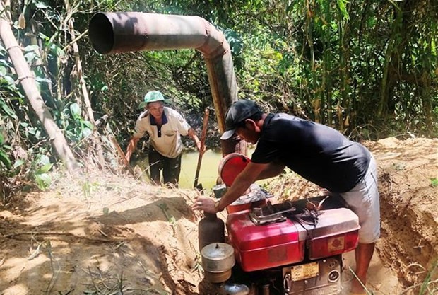 Xâm nhập mặn ở vựa lúa số 1 Việt Nam có thể tăng trong tuần tới