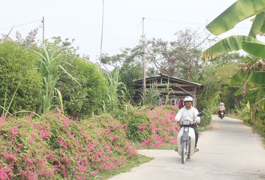 Người dân chủ động trồng hàng rào cây xanh, góp phần xây dựng tiêu chí môi trường xanh, sạch, đẹp