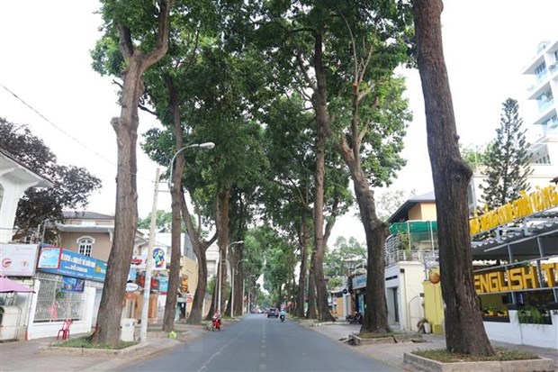 Đường Trần Quốc Thảo, quận 3, Thành phố Hồ Chí Minh vắng bóng người và phương tiện giao thông. (Ảnh: TTXVN)