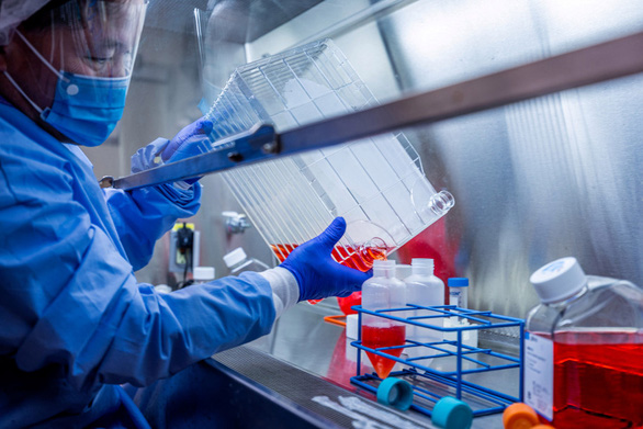Một nhà nghiên cứu tại đại học Pittsburgh trong phòng thí nghiệm nghiên cứu văcxin ngừa virus corona chủng mới - Ảnh: REUTERS