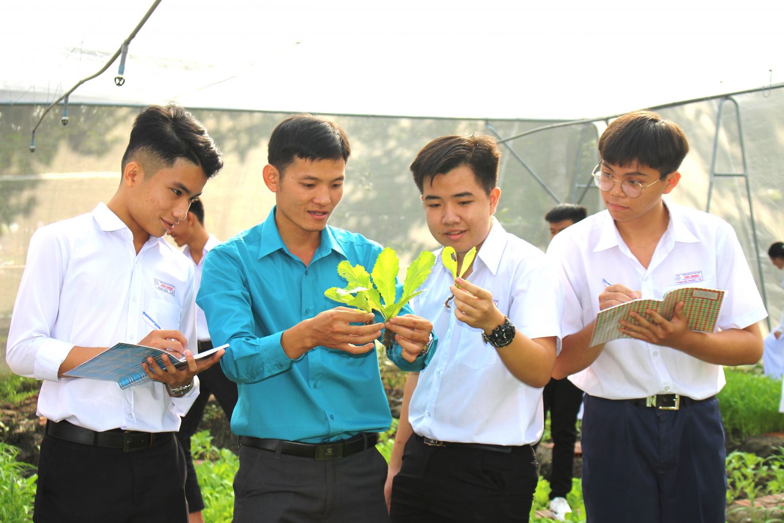 Anh Lê Trọng Tình hướng dẫn học sinh trồng, chăm sóc rau, màu ứng dụng công nghệ cao