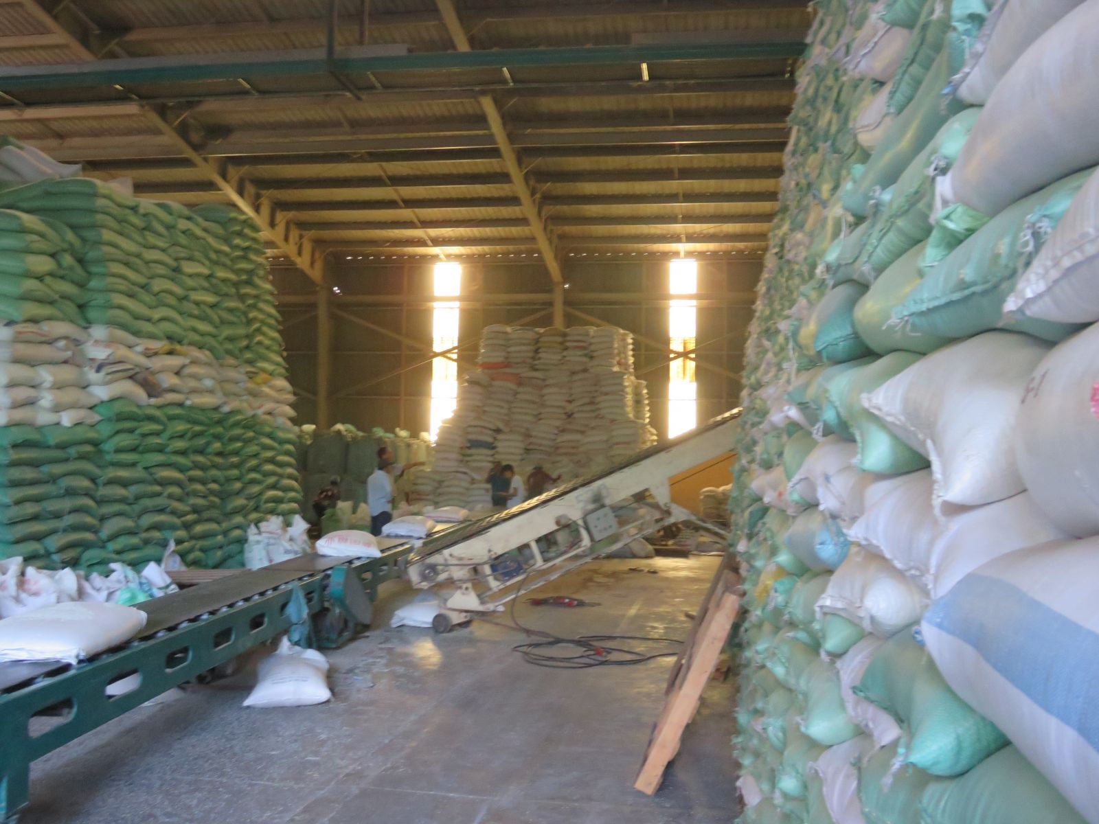 Currently, export rice price is at a high level