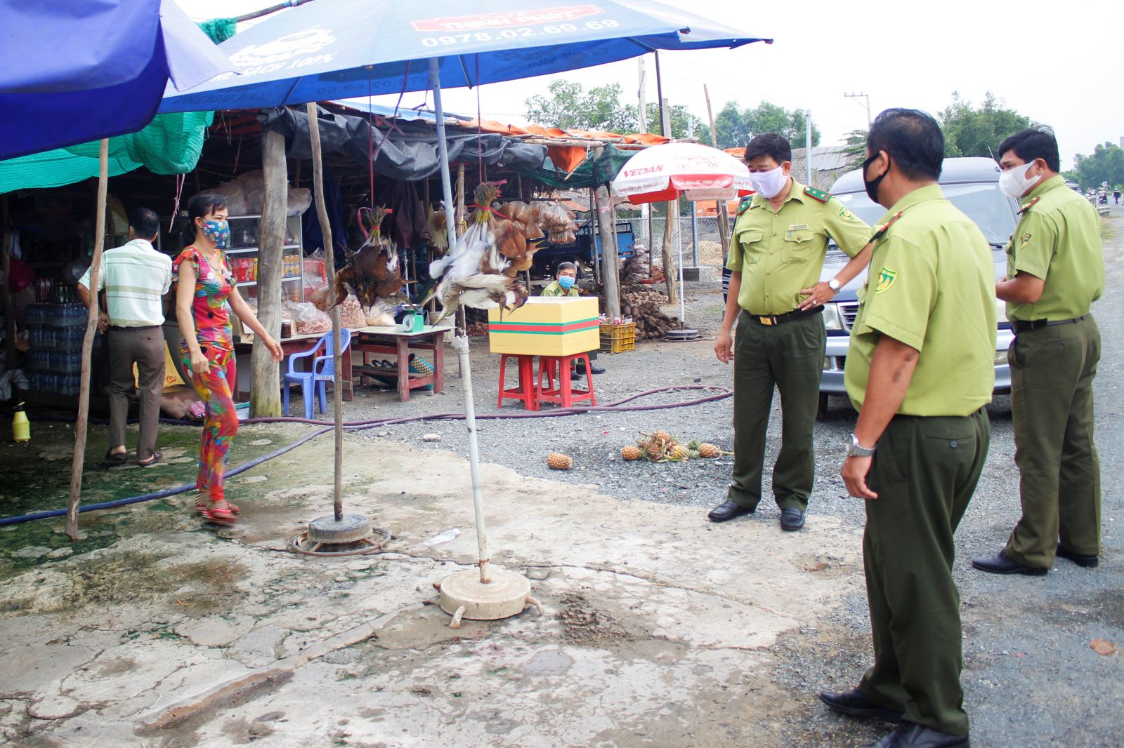 The inspection team discover and ask the shop owner to release about 20 individuals of the stork in natural environment