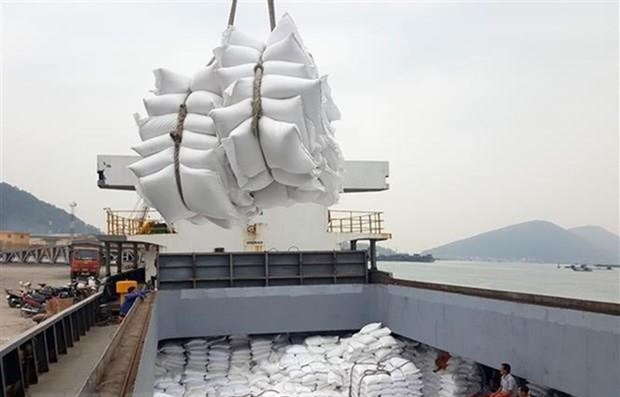 Nhiều doanh nghiệp gạo bỏ trúng thầu dự trữ sang xuất khẩu