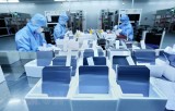Doanh nghiệp Mỹ mong muốn nắm bắt cơ hội hợp tác, đầu tư tại Việt Nam