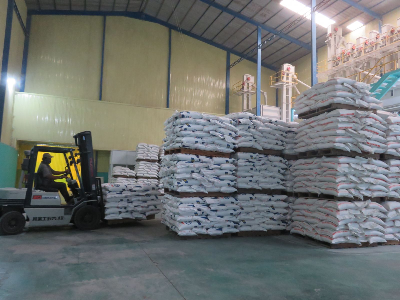 Doanh nghiệp mong muốn được xuất khẩu gạo trở lại