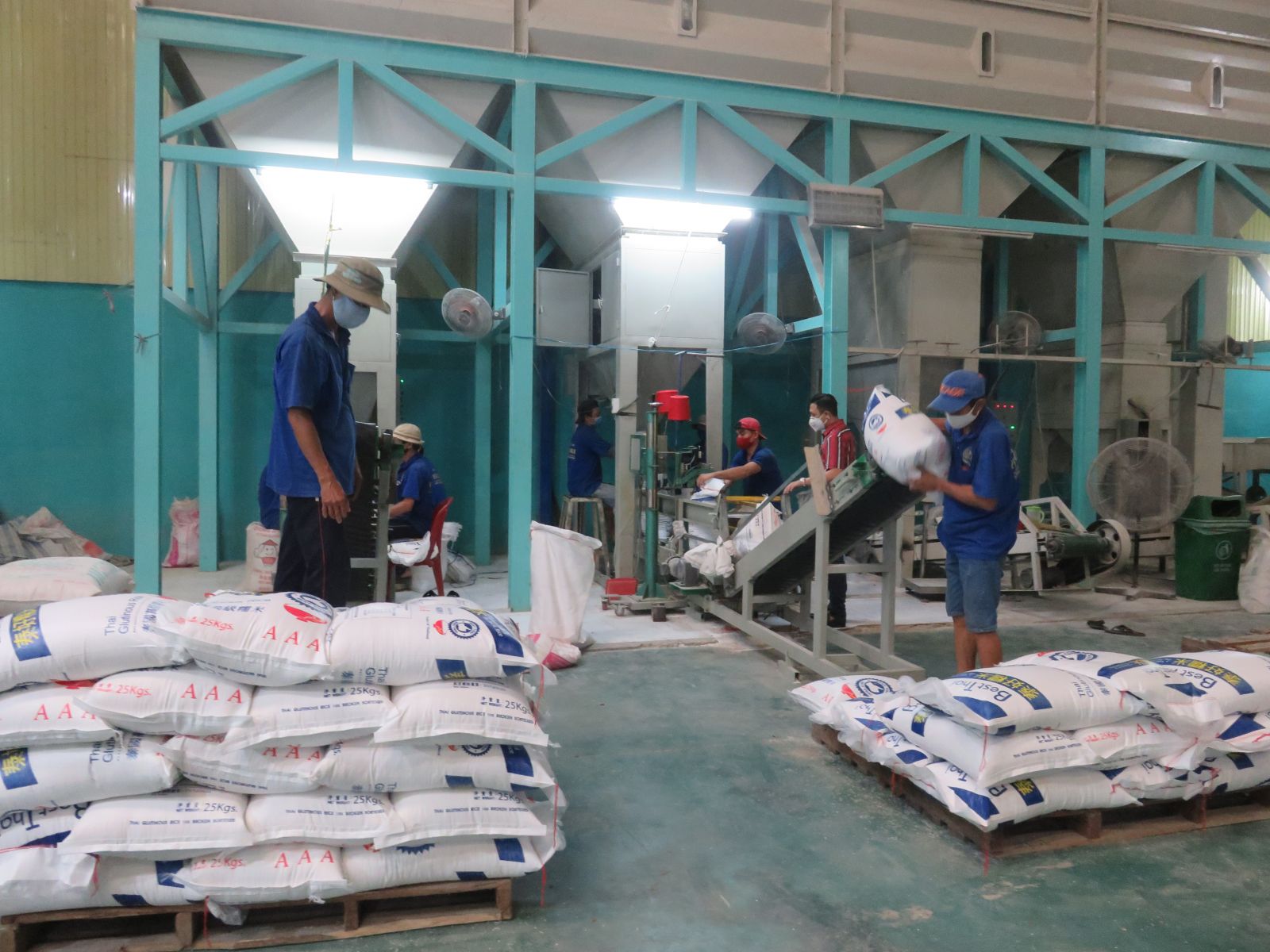 Doanh nghiệp mong muốn được xuất khẩu gạo trở lại