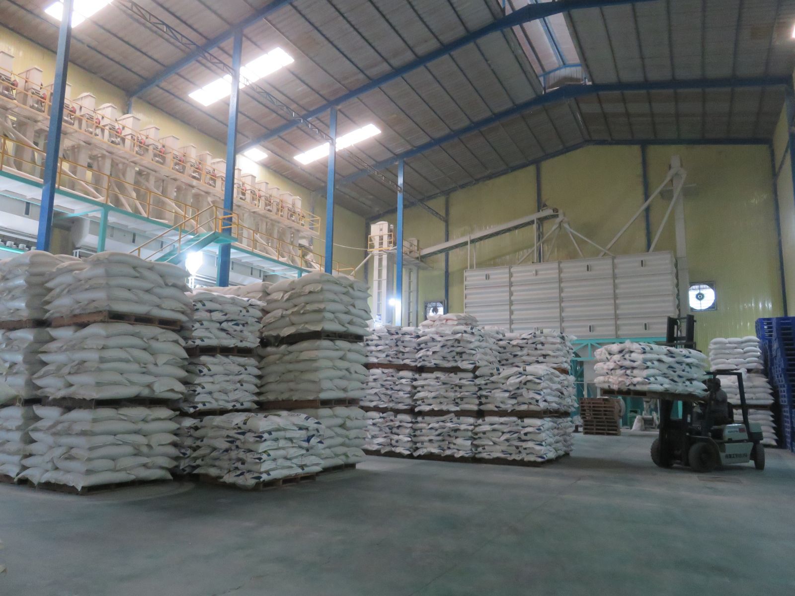 In Long An, the inventory of traders having warehouses in the area is about 56,000 tons of glutinous rice