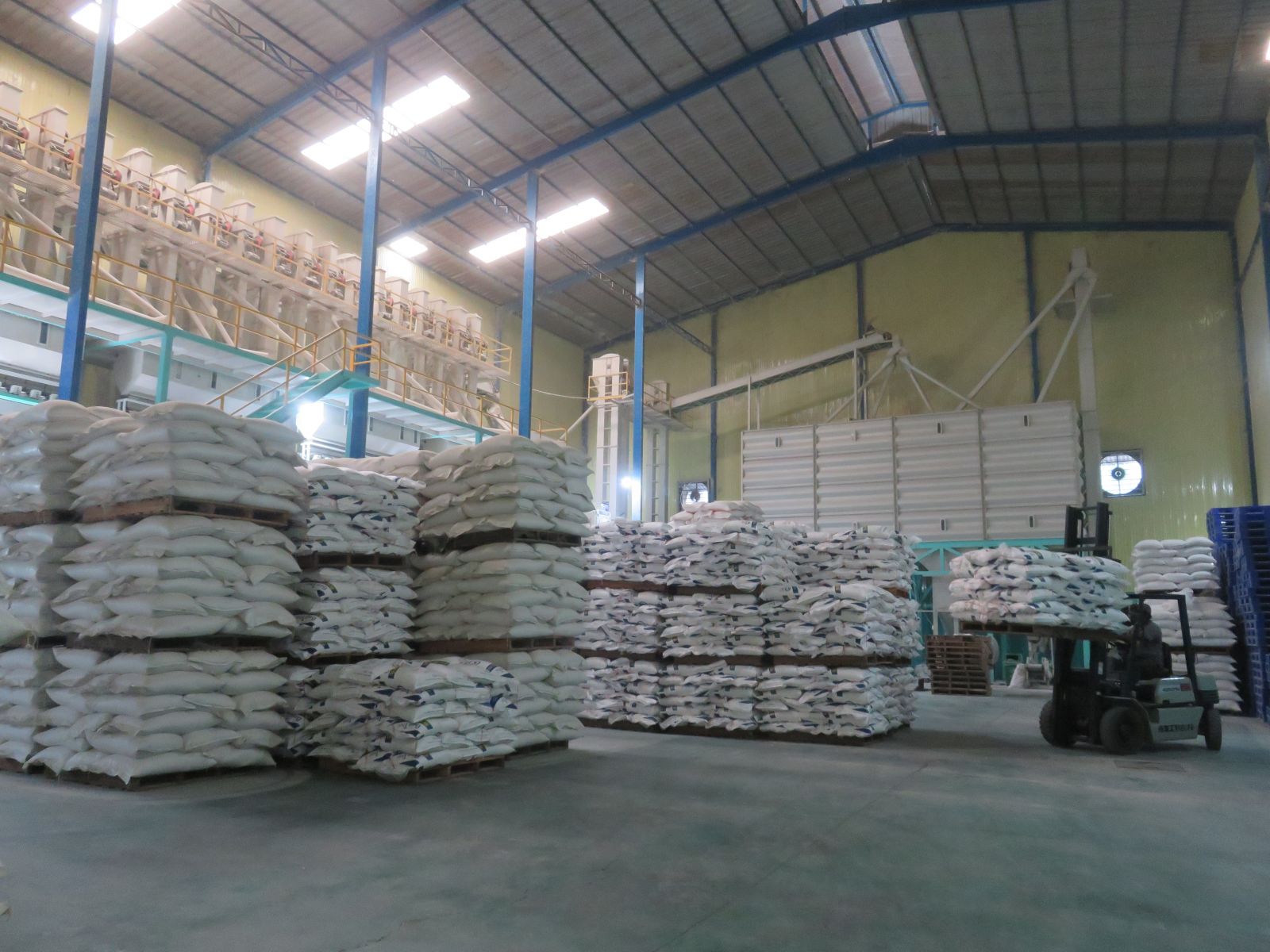 The Ministry of Agriculture and Rural Development proposes Government to allow re-exporting glutinous rice In Long An, the inventory of traders having warehouses in the area is about 56,000 tons of glutinous rice