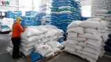 Thanh tra Chính phủ chính thức vào cuộc thanh tra về xuất khẩu gạo