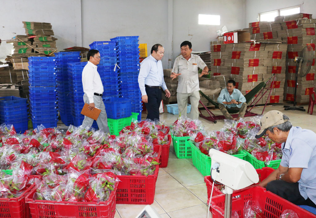 Collective economy continued to innovate, develop and improve its efficiency Many cooperatives in the province actively cooperate, promote production in the direction of applying high technology to create quality products.