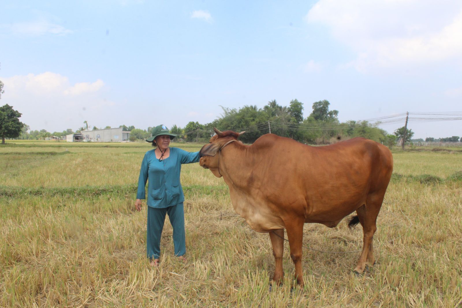 Những năm qua, Hội Cựu thanh niên xung phong xã luôn quan tâm chăm lo đời sống hội viên khó khăn