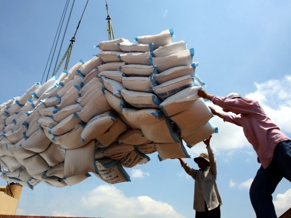 Doanh nghiệp không ký hợp đồng gạo dự trữ tiếp tục đi đấu thầu lần 2