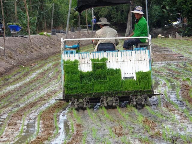 Long An: Cơ giới hóa trong nông nghiệp mang lại nhiều hiệu quả