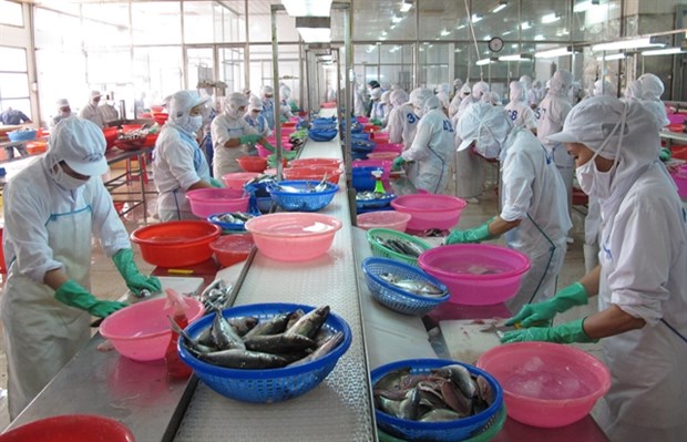 Ministry to help local firms cope with trade remedies Aquatic products processed for exports at Ba Ria - Vung Tau Seafood Processing Import Export Co (Photo: VNA)