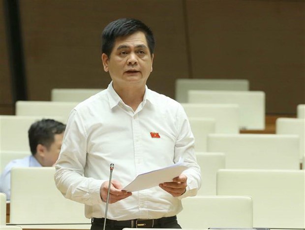 Đại biểu Quốc hội tỉnh Lạng Sơn Nguyễn Lâm Thành phát biểu ý kiến. (Ảnh: Doãn Tấn/TTXVN)