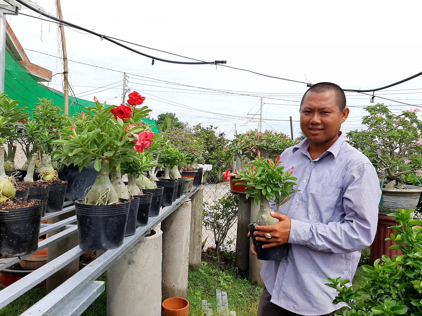 Thanh niên giúp thanh long tổ yến 'bén rễ' ở Châu Thành Anh Khang giản dị, chân thành như một nông dân “thứ thiệt” và khi nhắc đên cây trồng thì anh trả lời rành rọt như một kỹ sư