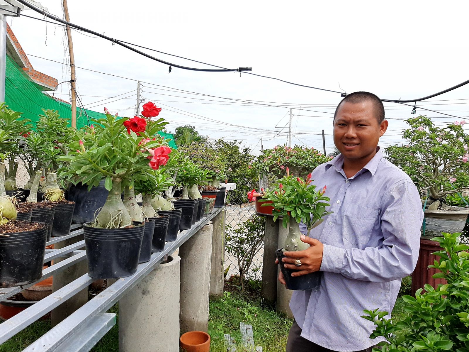 Anh Khang giản dị, chân thành như một nông dân “thứ thiệt” và khi nhắc đên cây trồng thì anh trả lời rành rọt như một kỹ sư