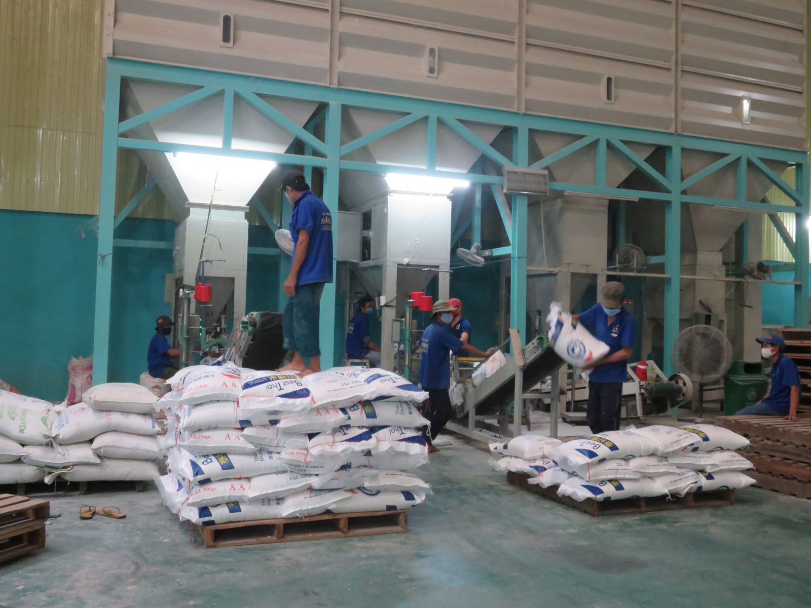 Long An: Damage in industrial production due to Covid-19 influence tends to decrease Milled rice is one of the products, an increase in production in May