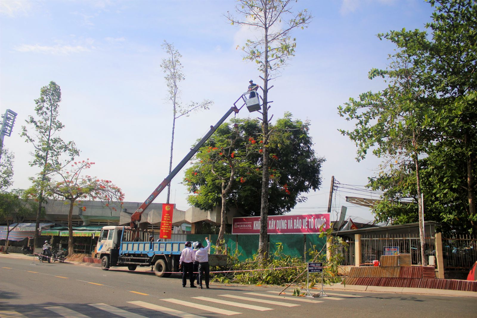 Công nhân Công ty Cây xanh Cao Minh - Chi nhánh Long An cắt tỉa cây trên địa bàn TP.Tân An