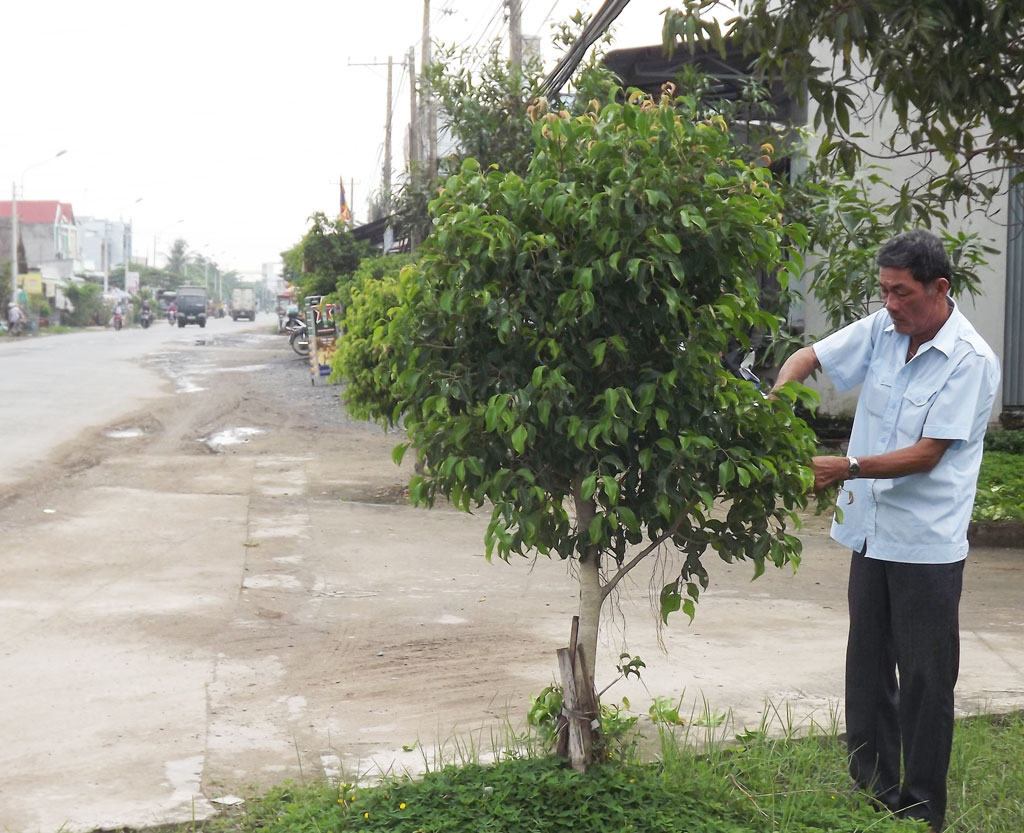 Người dân xã Long Trạch, huyện Cần Đước tham gia trồng và chăm sóc cây xanh, cải thiện cảnh quan môi trường trên địa bàn