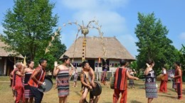 Activities celebrating Vietnam Family Day held at cultural village