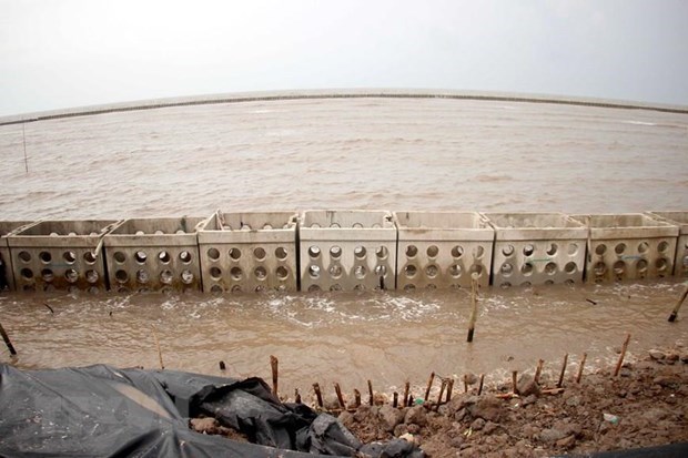 Tien Giang speeds work to protect eastern sea dyke An eroded sea dyke on the eastern coast in the Mekong Delta province of Tien Giang (Photo: VNA)