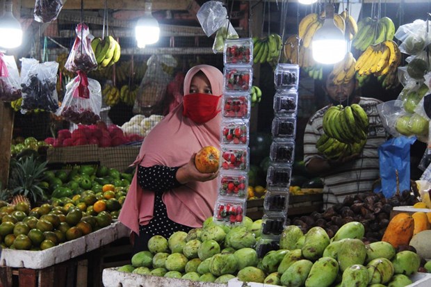 A customer picks papayas at a fruit stall in the Pulo Payung traditional market in Dumai, Riau, on April 24 (Source: Antara)