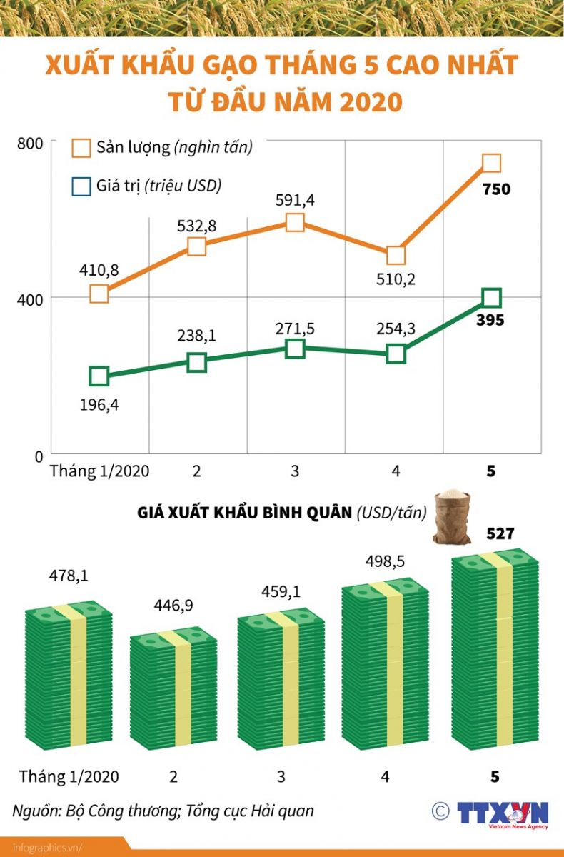 Xuất khẩu mặt hàng gạo đã tăng mạnh sau khi Chính phủ cho xuất khẩu gạo bình thường trở lại từ ngày 1/5 vừa qua.