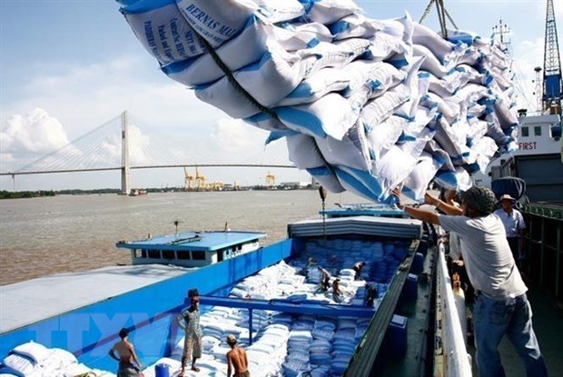 Việt Nam trúng thầu xuất khẩu 60.000 tấn gạo sang Philippines. (Ảnh: TTXVN)