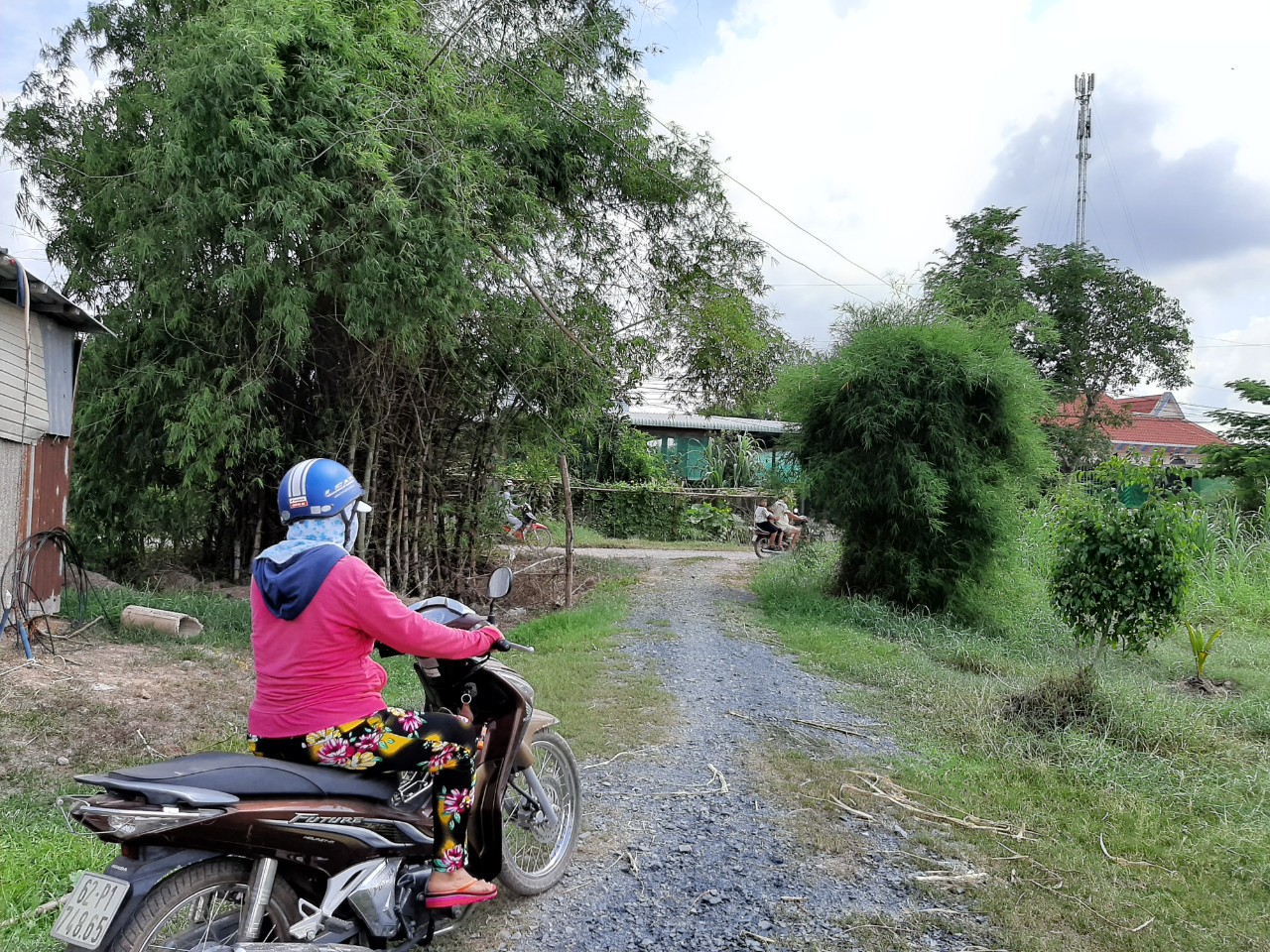 Thăm người đan đát ở Đức Hòa Ở Tân Mỹ nói riêng, Đức Hòa nói chung, tre, trúc vẫn được trồng dọc đường đi. Và các sản phẩm đan đát từ tre, trúc vẫn đều đặn được chở từ Tân Mỹ sang Trảng Bàng