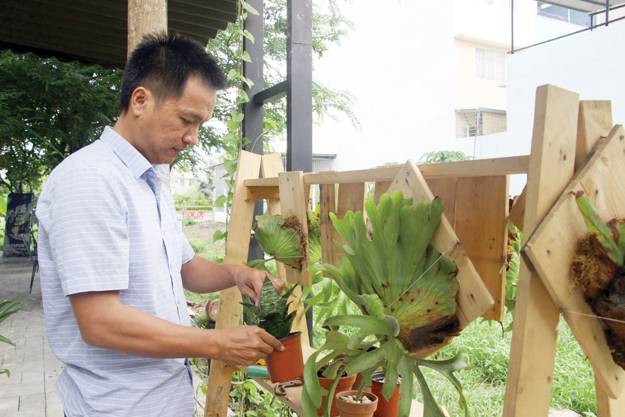 Anh Quang Khương dành nhiều thời gian chăm sóc cây kiểng  để không gian sống thêm xanh