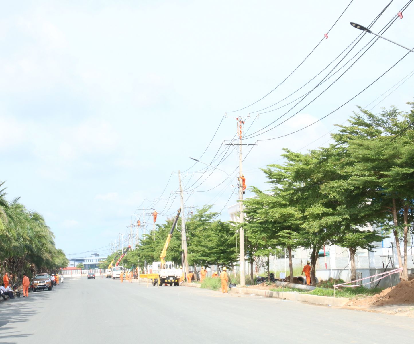 Công ty Điện lực Long An diễn tập phòng, chống thiên tai và tìm kiếm cứu nạn