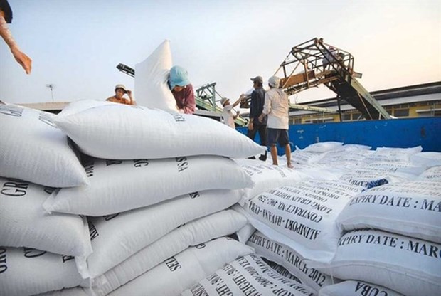 Rice export price lowest in two months Vietnam's rice export volume surged by 12 percent to 3.09 million tonnes in the first five months of this year (Photo: anninhthudo.vn)