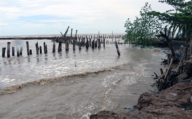 Kien Giang mobilises all resources to counter coast erosion Illustrative image (Photo: VNA)