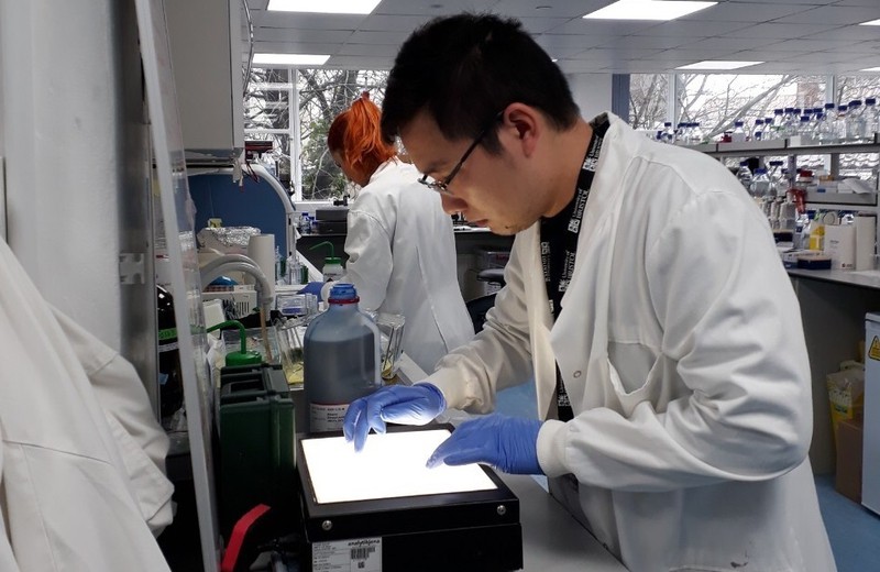 Vaccine Covid-19 “Made in Vietnam” vượt tiến độ dự kiến