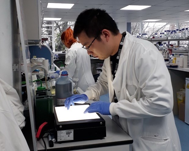 Thạc sỹ Mạc Văn Trọng đang phân tích kết quả biểu hiện gene S của COVID-19 tại Phòng thí nghiệm Viện Sinh-Hóa, Trường Đại học Bristol (Anh). (Nguồn: Vietnam+)