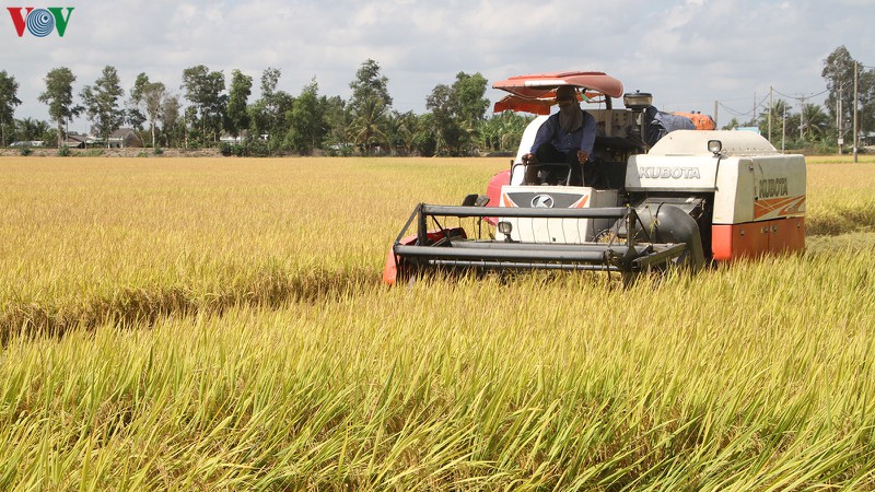 “Mục tiêu kép” về an ninh lương thực và xuất khẩu nông lâm thủy sản