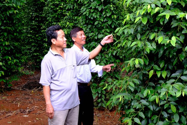 Organic Agriculture Development Project for 2020-2030 adopted