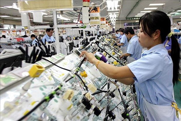 Workers at Sumi-Hanel Wiring Systems Co., Ltd assemble products to be exported to the US (Photo: VNA)