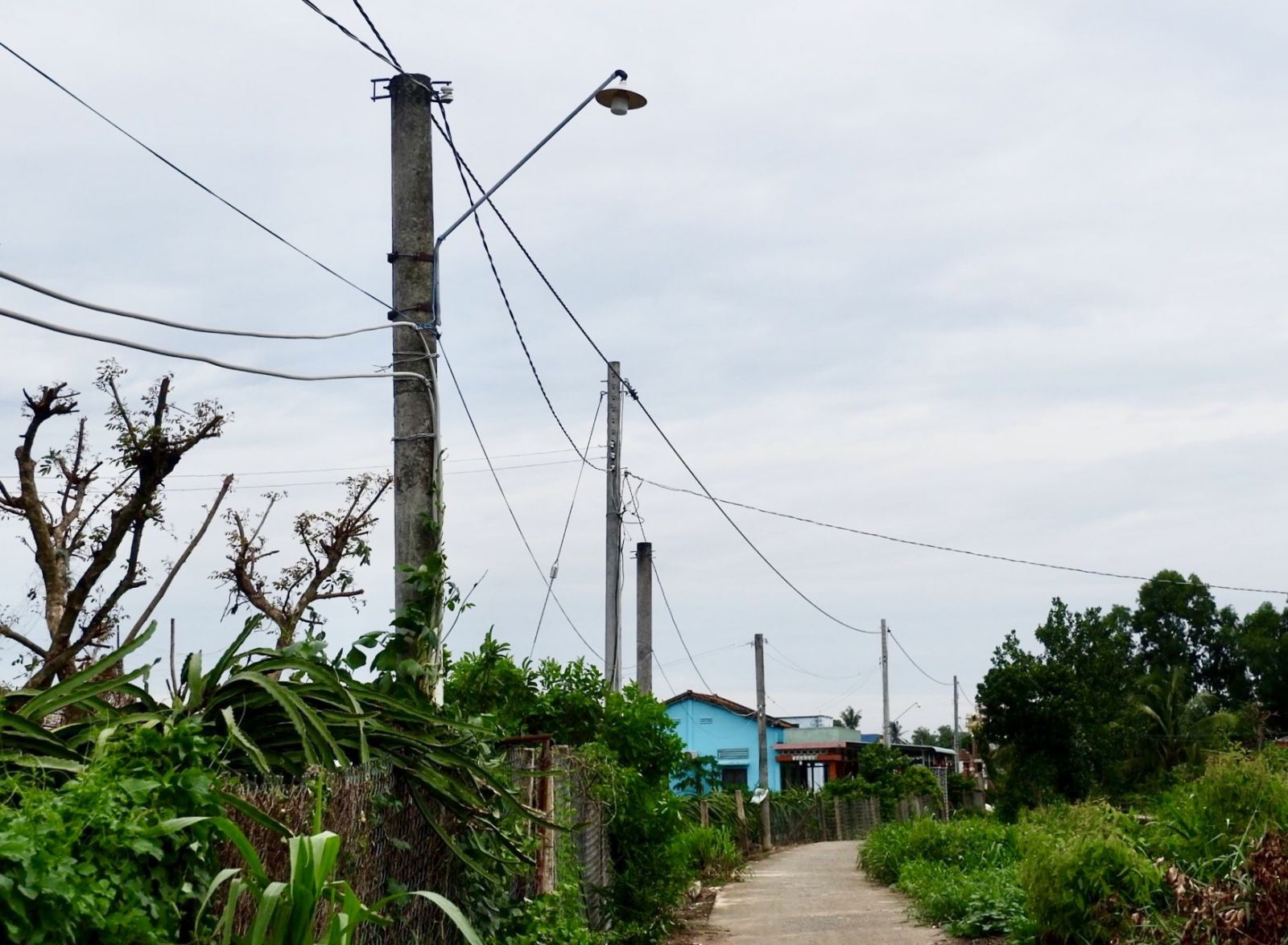Hệ thống chiếu sáng trên đường nông thôn ấp Long Thuận,xã Long Trì