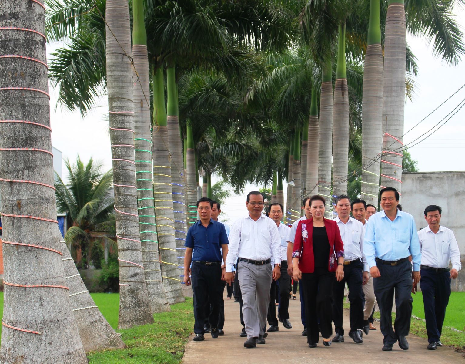 Ms. Nguyen Thi Kim Ngan visits the betel-nut road in Duc Tan commune, Tan Tru district