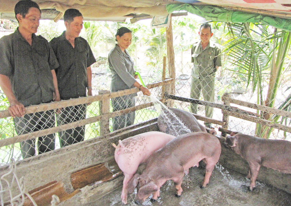 Sáng mãi truyền thống thanh niên xung phong Cựu thanh niên xung phong chăm lo kinh tế gia đình