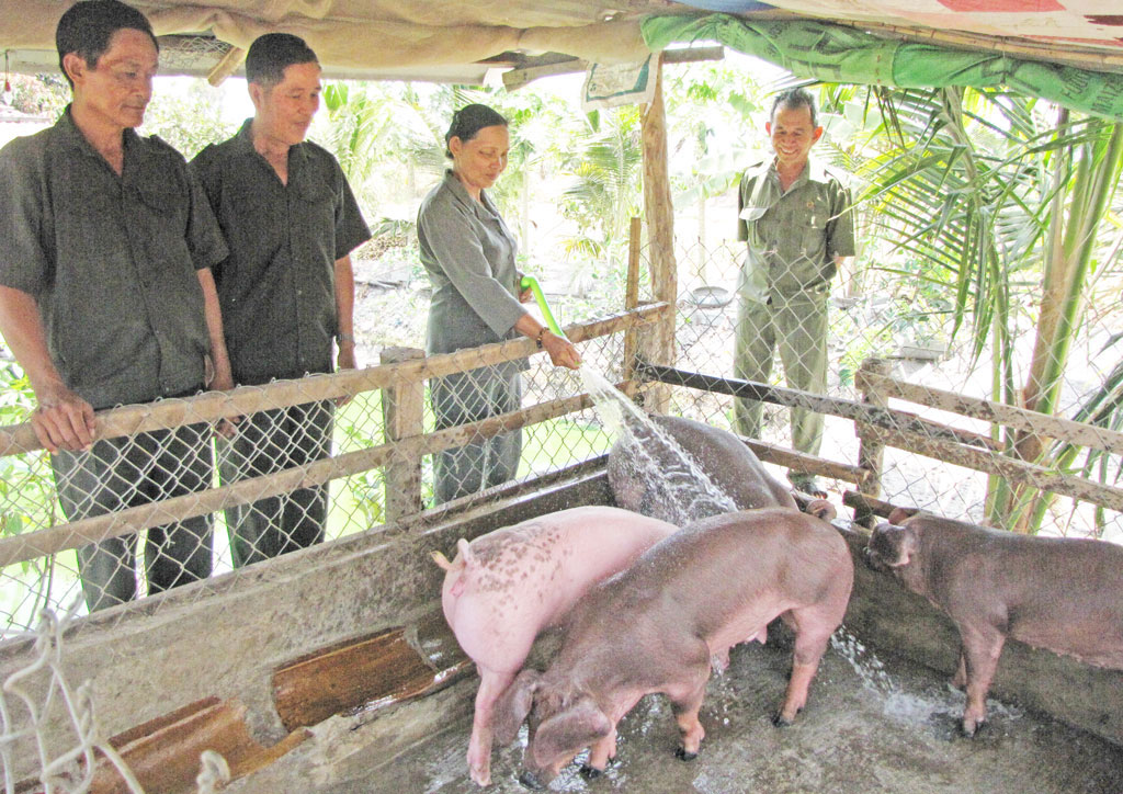 Cựu thanh niên xung phong chăm lo kinh tế gia đình