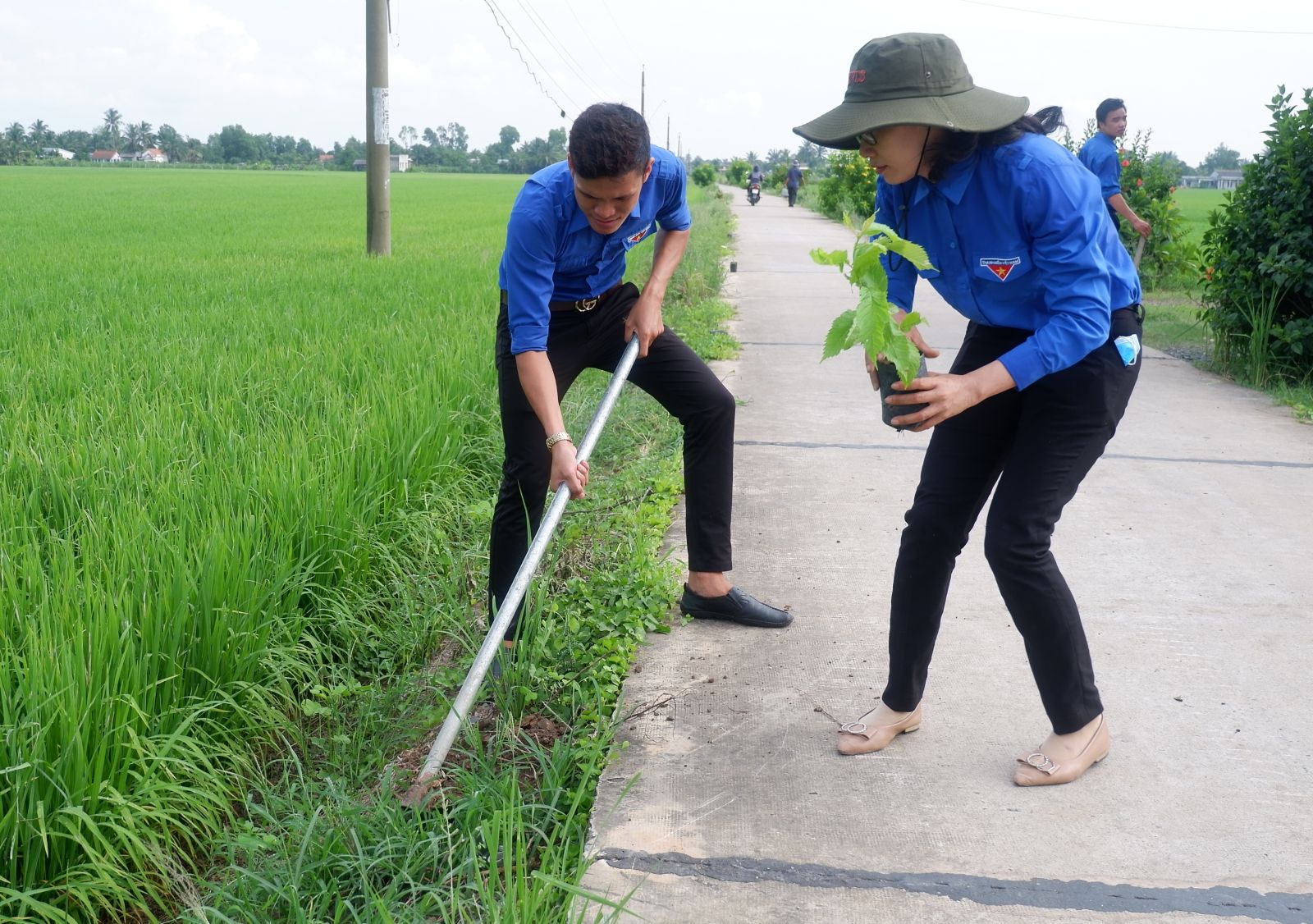 Đoàn viên, thanh niên huyện Bến Lức trồng cây trên địa bàn ấp 4, xã An Thạnh