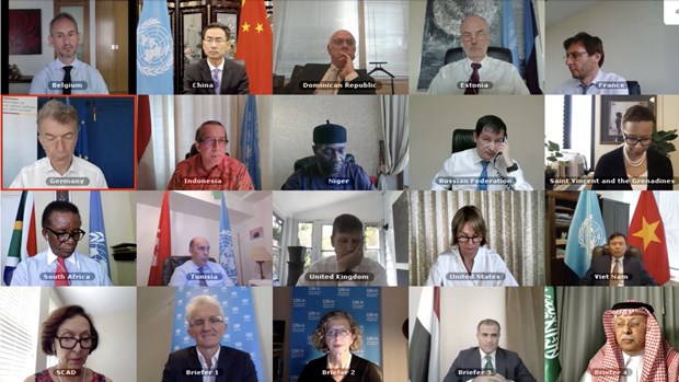 Vietnam supports independence, sovereignty, territorial integrity of Mali: ambassador The UN Security Council holds an online meeting on July 27 to look into the situation in Mali (Photo: VNA)