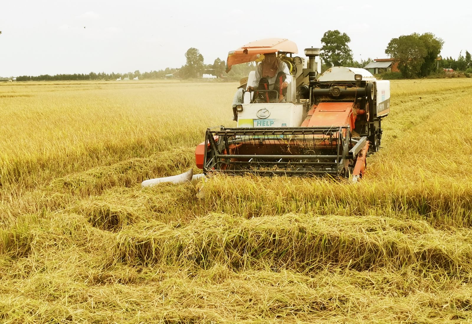 Cơ giới hóa trong sản xuất