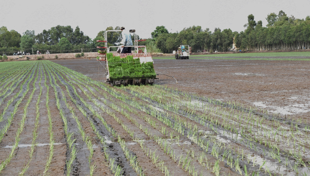 Ứng dụng cơ giới hóa vào sản xuất, giải phóng sức lao động chân tay, hạ giá thành sản phẩm, tăng lợi nhuận cho nhà nông 