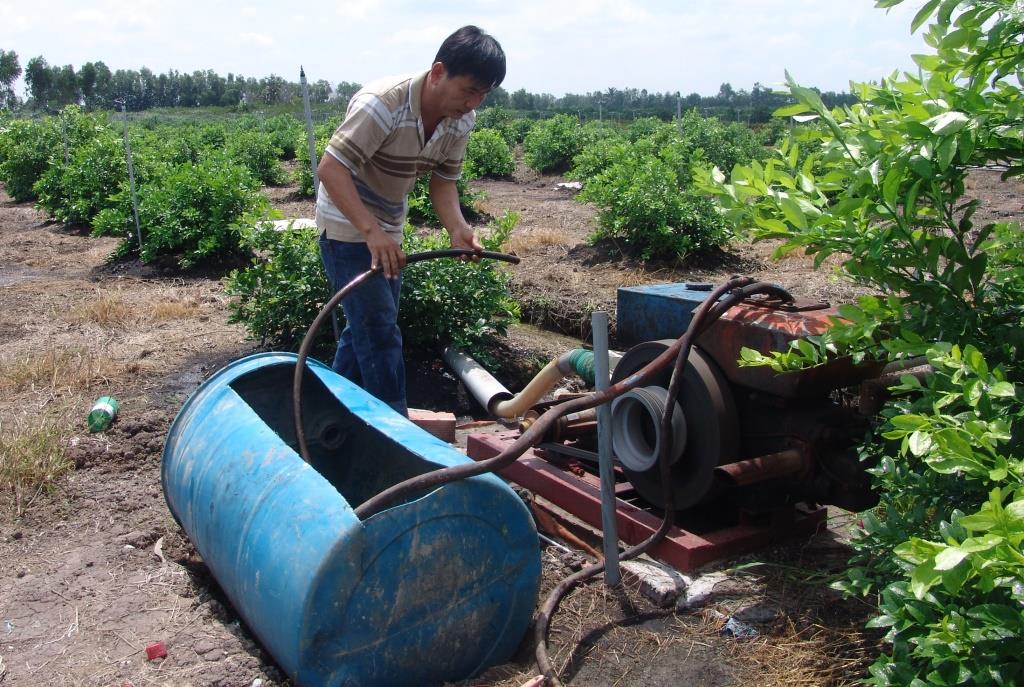 Farmers is taking care of lemon