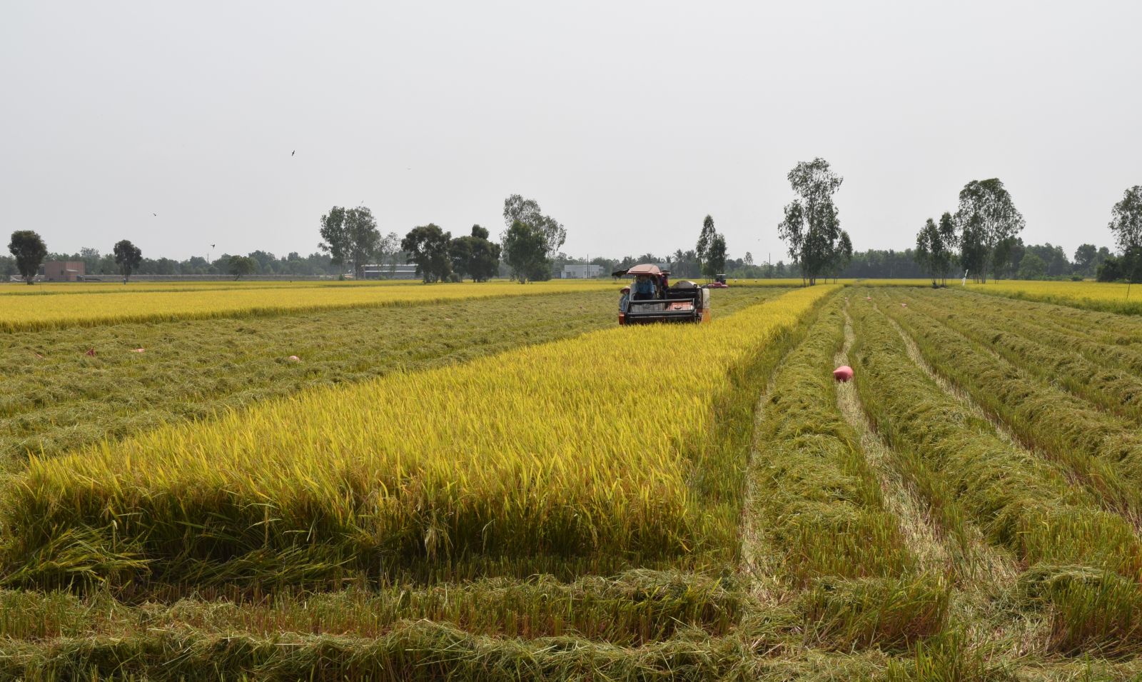 Hướng đến phát triển kinh tế nhanh và bền vững Huyện tiếp tục ứng dụng cơ giới hóa vào sản xuất nhằm tăng lợi nhuận cho nhà nông
